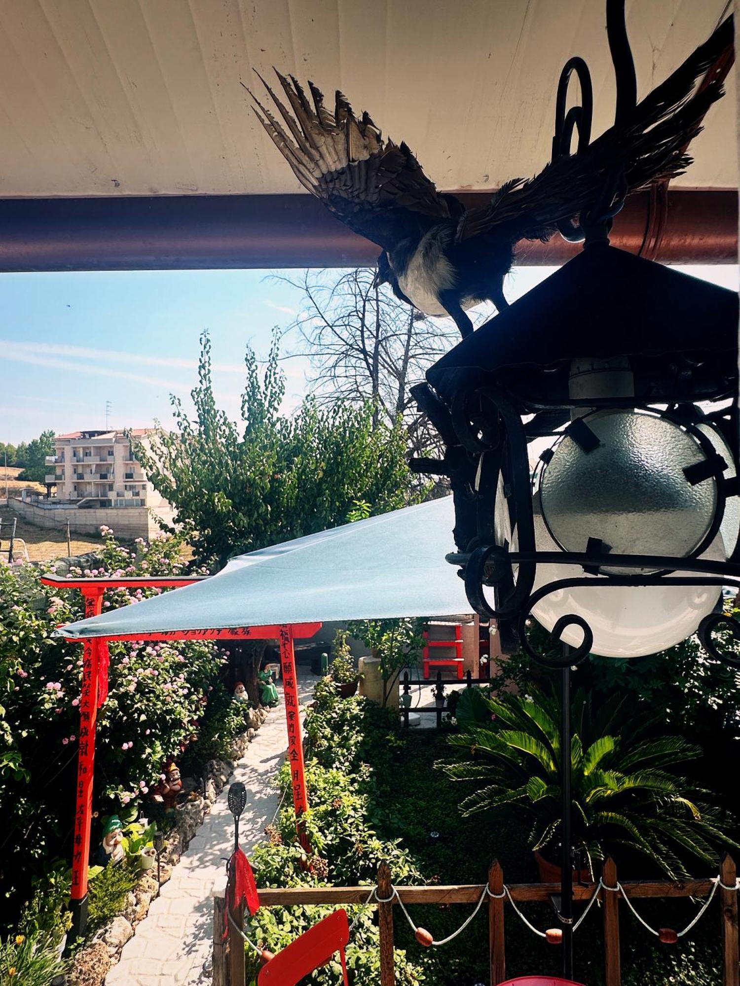 Far West Ξενοδοχείο Ginosa Εξωτερικό φωτογραφία